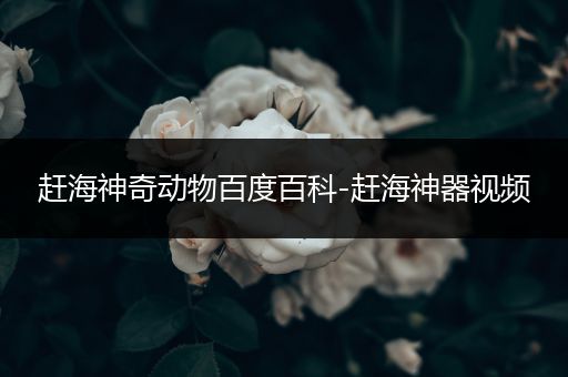 赶海神奇动物百度百科-赶海神器视频