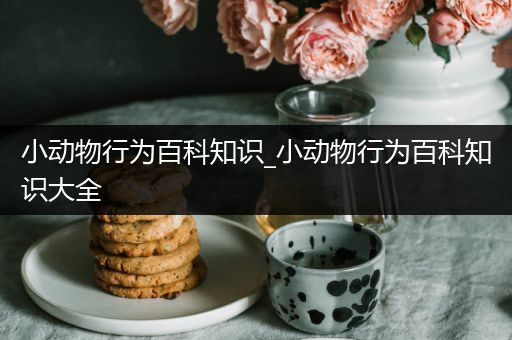 小动物行为百科知识_小动物行为百科知识大全