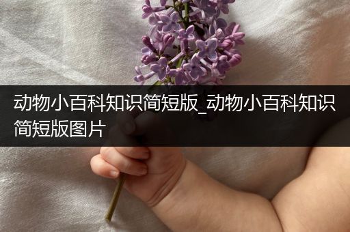 动物小百科知识简短版_动物小百科知识简短版图片