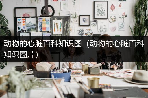 动物的心脏百科知识图（动物的心脏百科知识图片）
