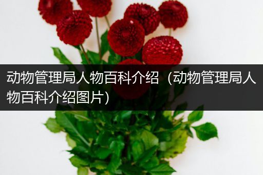 动物管理局人物百科介绍（动物管理局人物百科介绍图片）