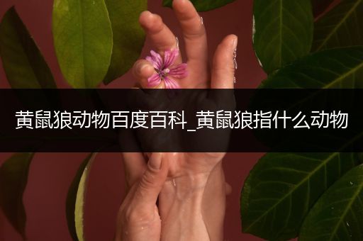 黄鼠狼动物百度百科_黄鼠狼指什么动物