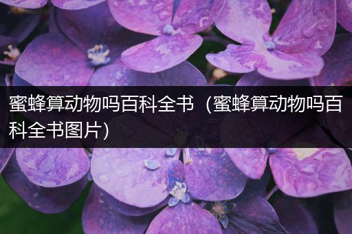 蜜蜂算动物吗百科全书（蜜蜂算动物吗百科全书图片）