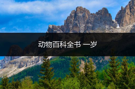 动物百科全书 一岁