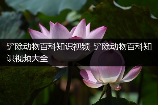 铲除动物百科知识视频-铲除动物百科知识视频大全