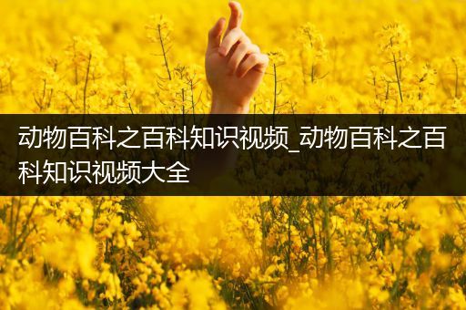 动物百科之百科知识视频_动物百科之百科知识视频大全