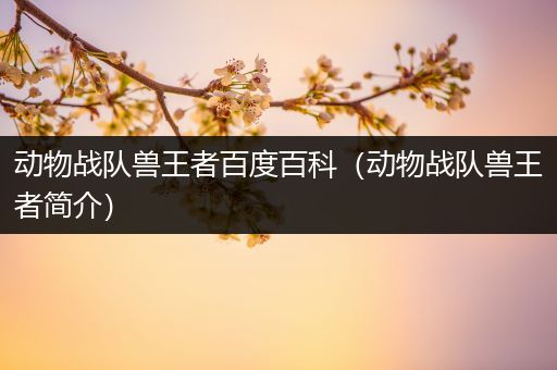 动物战队兽王者百度百科（动物战队兽王者简介）