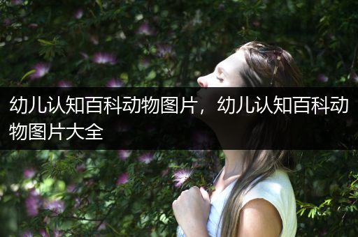 幼儿认知百科动物图片，幼儿认知百科动物图片大全