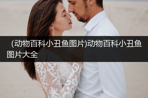 （动物百科小丑鱼图片)动物百科小丑鱼图片大全