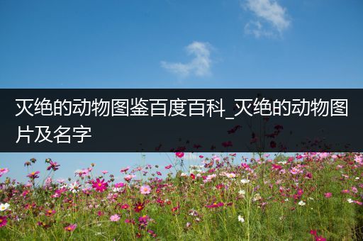 灭绝的动物图鉴百度百科_灭绝的动物图片及名字