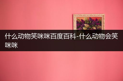 什么动物笑咪咪百度百科-什么动物会笑咪咪