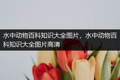 水中动物百科知识大全图片，水中动物百科知识大全图片高清