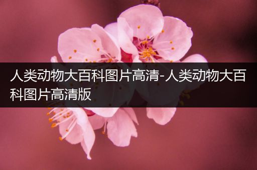 人类动物大百科图片高清-人类动物大百科图片高清版