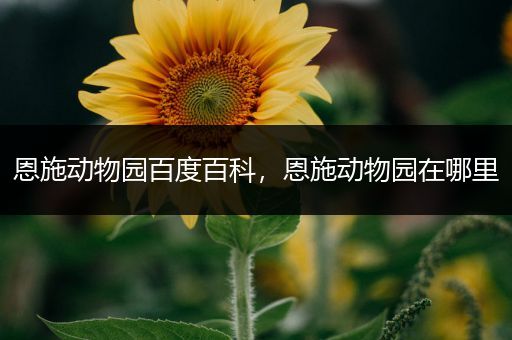 恩施动物园百度百科，恩施动物园在哪里