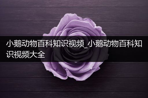 小鹅动物百科知识视频_小鹅动物百科知识视频大全