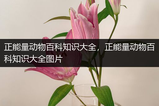 正能量动物百科知识大全，正能量动物百科知识大全图片