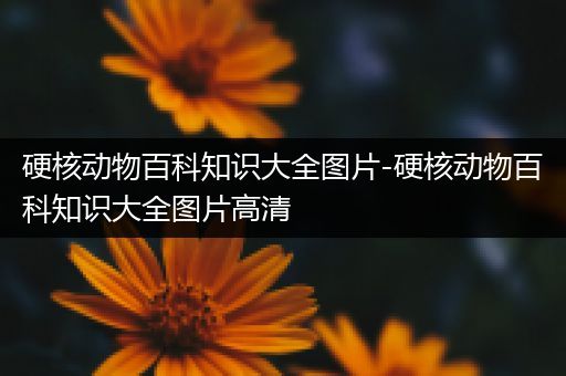 硬核动物百科知识大全图片-硬核动物百科知识大全图片高清