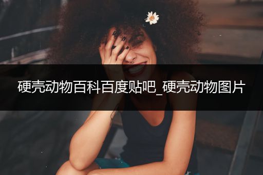 硬壳动物百科百度贴吧_硬壳动物图片