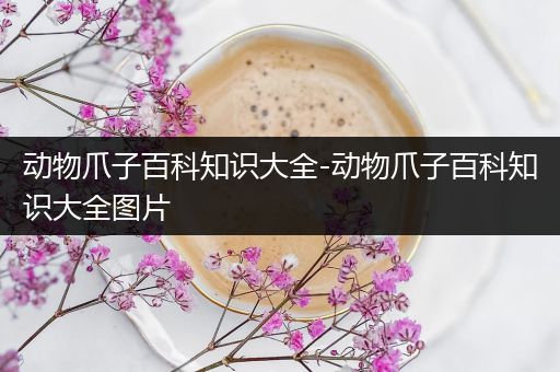 动物爪子百科知识大全-动物爪子百科知识大全图片