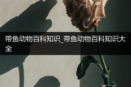 带鱼动物百科知识_带鱼动物百科知识大全