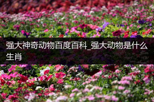 强大神奇动物百度百科_强大动物是什么生肖