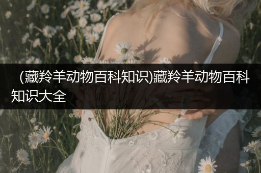 （藏羚羊动物百科知识)藏羚羊动物百科知识大全