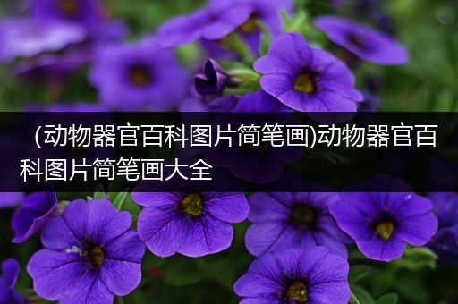 （动物器官百科图片简笔画)动物器官百科图片简笔画大全