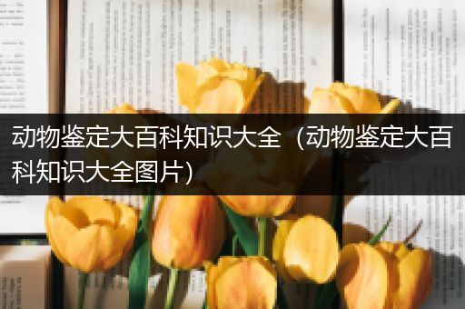 动物鉴定大百科知识大全（动物鉴定大百科知识大全图片）