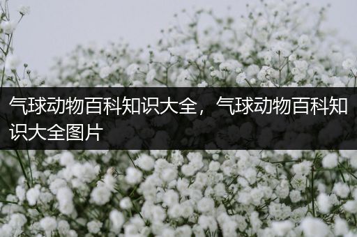 气球动物百科知识大全，气球动物百科知识大全图片