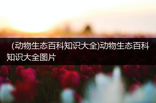 （动物生态百科知识大全)动物生态百科知识大全图片