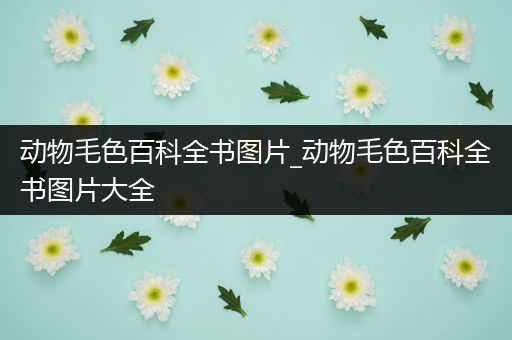 动物毛色百科全书图片_动物毛色百科全书图片大全