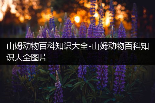 山姆动物百科知识大全-山姆动物百科知识大全图片