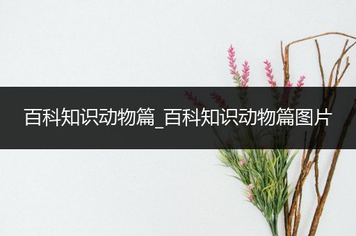 百科知识动物篇_百科知识动物篇图片