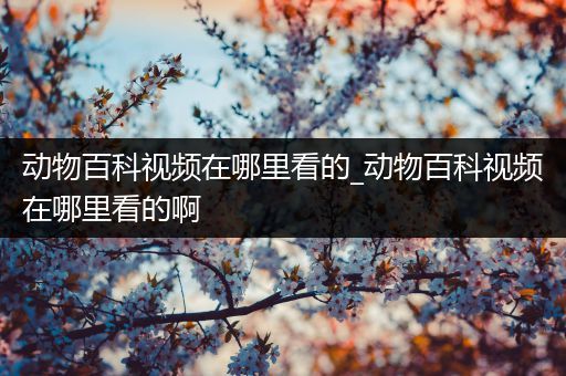 动物百科视频在哪里看的_动物百科视频在哪里看的啊