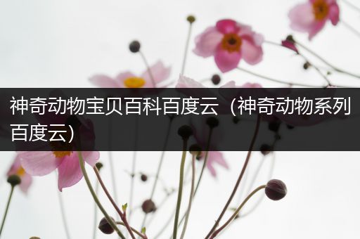 神奇动物宝贝百科百度云（神奇动物系列百度云）