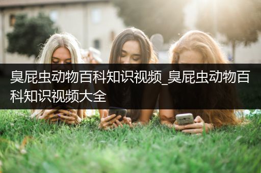 臭屁虫动物百科知识视频_臭屁虫动物百科知识视频大全