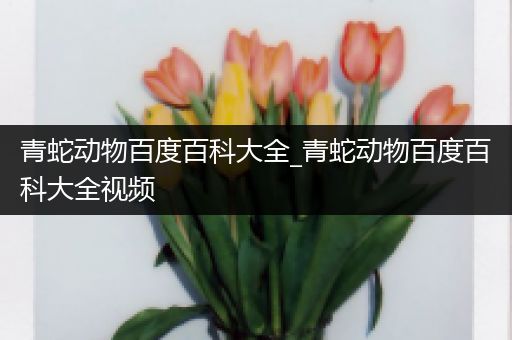 青蛇动物百度百科大全_青蛇动物百度百科大全视频