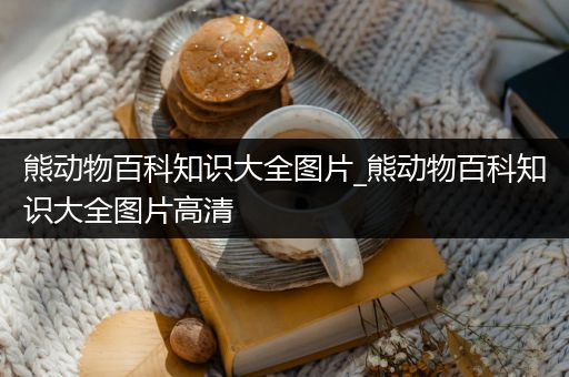 熊动物百科知识大全图片_熊动物百科知识大全图片高清