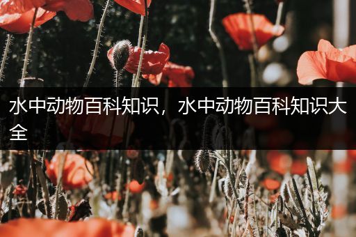 水中动物百科知识，水中动物百科知识大全