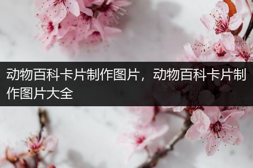 动物百科卡片制作图片，动物百科卡片制作图片大全