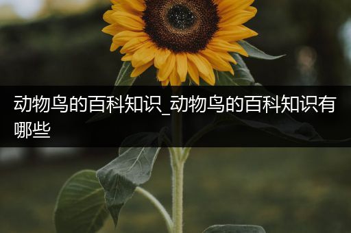 动物鸟的百科知识_动物鸟的百科知识有哪些