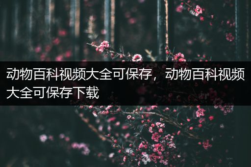 动物百科视频大全可保存，动物百科视频大全可保存下载