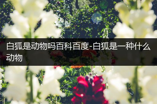 白狐是动物吗百科百度-白狐是一种什么动物