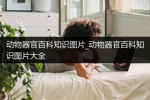 动物器官百科知识图片_动物器官百科知识图片大全