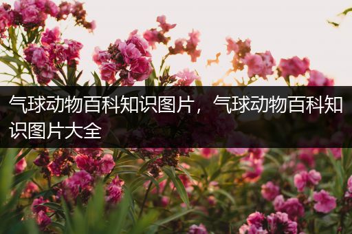 气球动物百科知识图片，气球动物百科知识图片大全