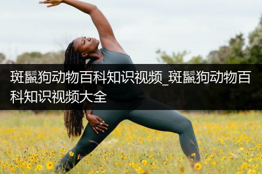 斑鬣狗动物百科知识视频_斑鬣狗动物百科知识视频大全