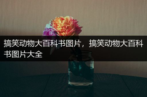 搞笑动物大百科书图片，搞笑动物大百科书图片大全