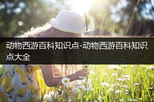 动物西游百科知识点-动物西游百科知识点大全