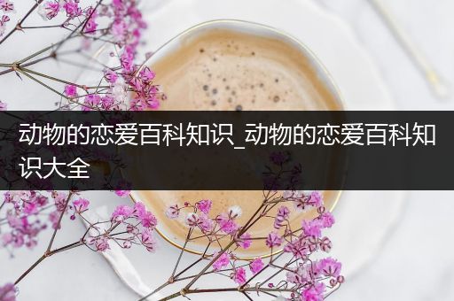 动物的恋爱百科知识_动物的恋爱百科知识大全