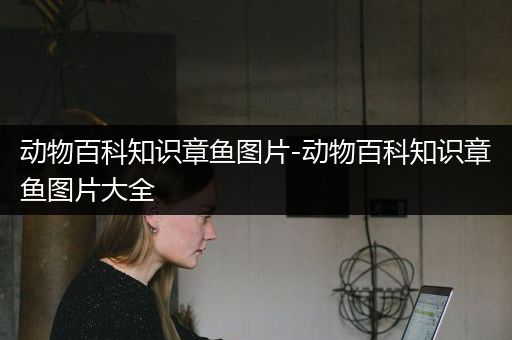 动物百科知识章鱼图片-动物百科知识章鱼图片大全